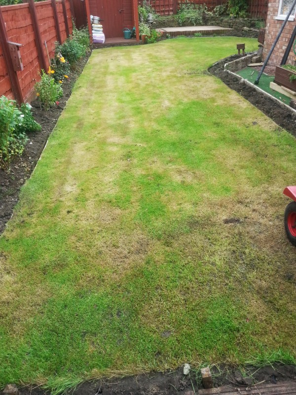 Artificial Grass In Swinton Manchester