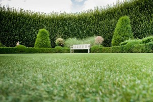 Child Friendly Artificial Grass - A Beautiful Lawn