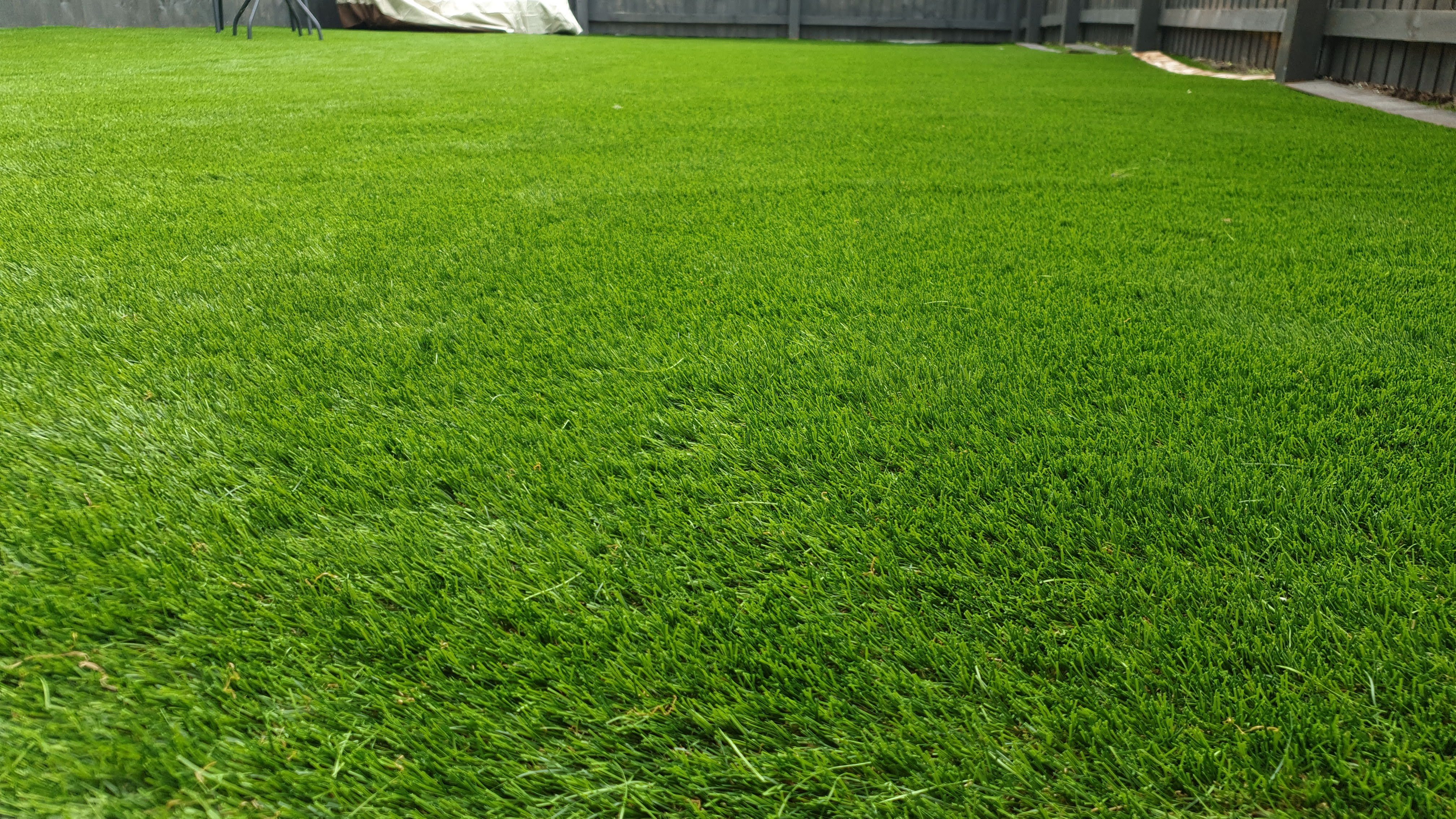 Artificial Grass